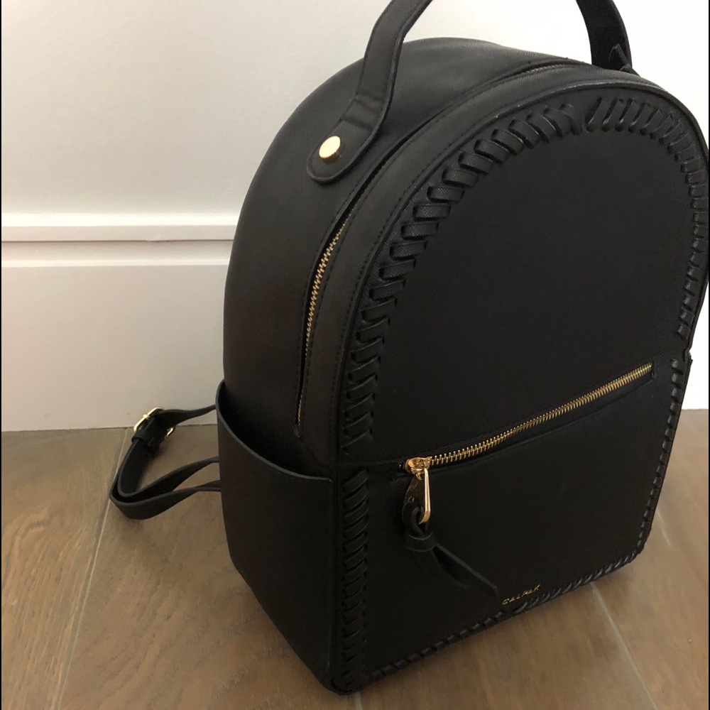 Calpak backpack.